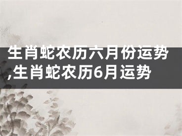 生肖蛇农历六月份运势,生肖蛇农历6月运势