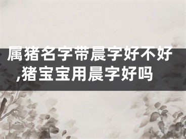 属猪名字带晨字好不好,猪宝宝用晨字好吗