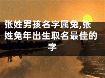 张姓男孩名字属兔,张姓兔年出生取名最佳的字