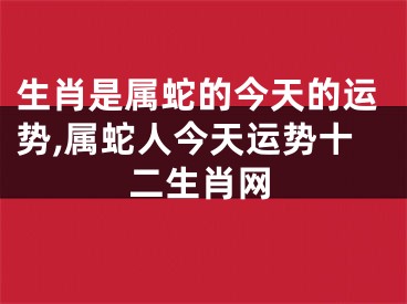 生肖是属蛇的今天的运势,属蛇人今天运势十二生肖网