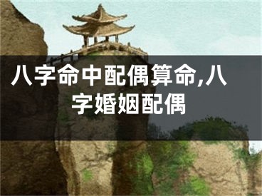 八字命中配偶算命,八字婚姻配偶