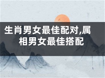 生肖男女最佳配对,属相男女最佳搭配