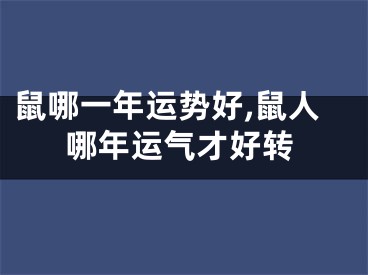 鼠哪一年运势好,鼠人哪年运气才好转