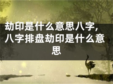 劫印是什么意思八字,八字排盘劫印是什么意思