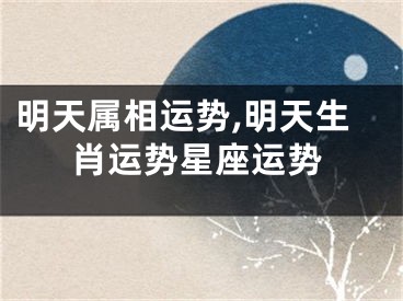 明天属相运势,明天生肖运势星座运势
