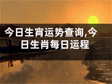 今日生宵运势查询,今日生肖每日运程
