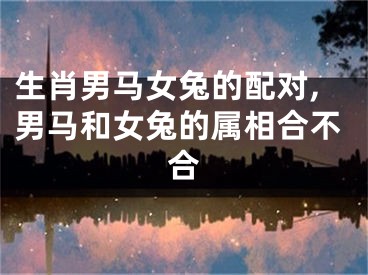 生肖男马女兔的配对,男马和女兔的属相合不合