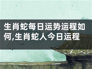 生肖蛇每日运势运程如何,生肖蛇人今日运程