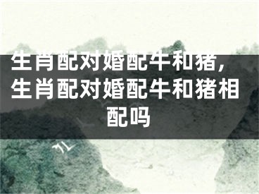 生肖配对婚配牛和猪,生肖配对婚配牛和猪相配吗