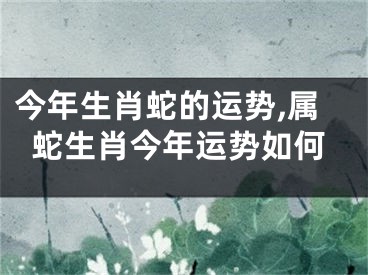今年生肖蛇的运势,属蛇生肖今年运势如何