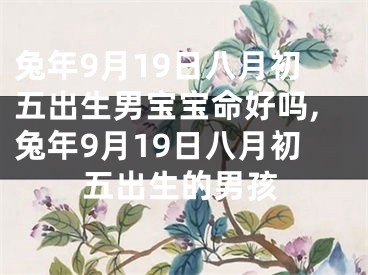 兔年9月19日八月初五出生男宝宝命好吗,兔年9月19日八月初五出生的男孩