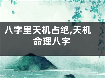 八字里天机占绝,天机命理八字