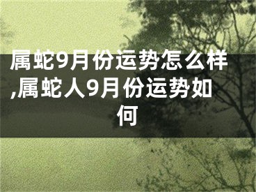 属蛇9月份运势怎么样,属蛇人9月份运势如何