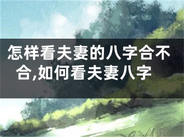 怎样看夫妻的八字合不合,如何看夫妻八字