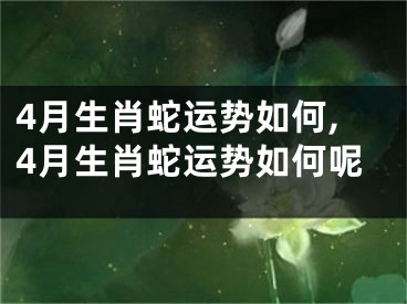 4月生肖蛇运势如何,4月生肖蛇运势如何呢