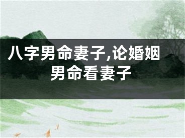 八字男命妻子,论婚姻男命看妻子