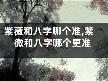 紫薇和八字哪个准,紫微和八字哪个更准