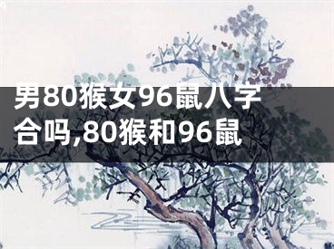 男80猴女96鼠八字合吗,80猴和96鼠