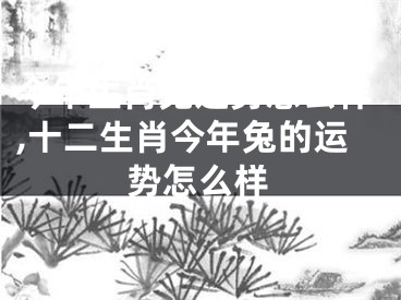 今年生肖兔运势怎么样,十二生肖今年兔的运势怎么样