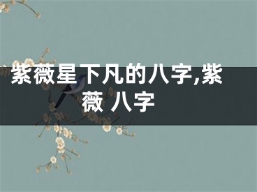 紫薇星下凡的八字,紫薇 八字