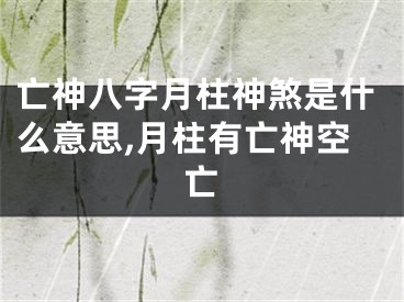 亡神八字月柱神煞是什么意思,月柱有亡神空亡