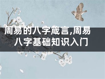 周易的八字箴言,周易八字基础知识入门
