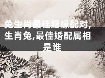 兔生肖最佳姻缘配对,生肖兔,最佳婚配属相是谁