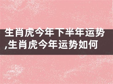 生肖虎今年下半年运势,生肖虎今年运势如何