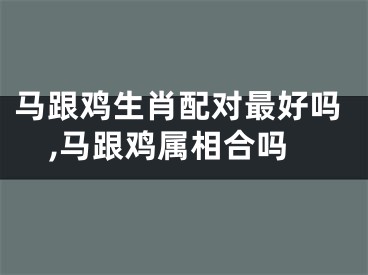 马跟鸡生肖配对最好吗,马跟鸡属相合吗
