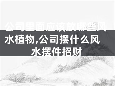 公司里面应该放哪些风水植物,公司摆什么风水摆件招财