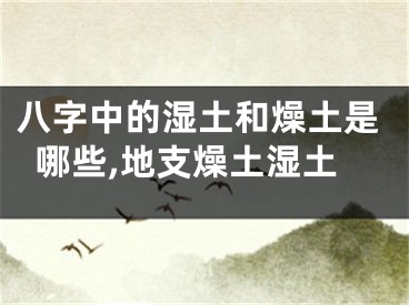 八字中的湿土和燥土是哪些,地支燥土湿土