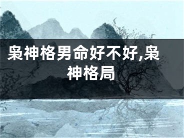 枭神格男命好不好,枭神格局