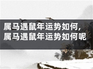 属马遇鼠年运势如何,属马遇鼠年运势如何呢