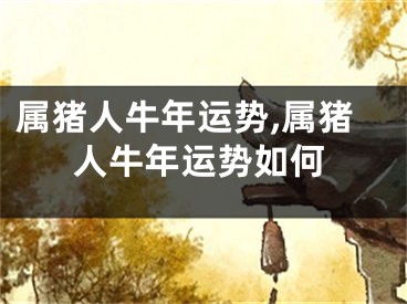 属猪人牛年运势,属猪人牛年运势如何