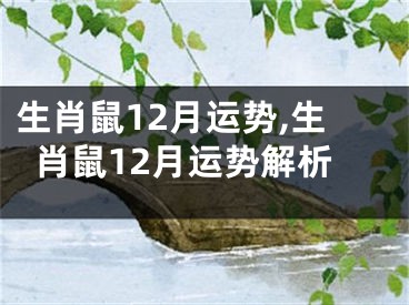 生肖鼠12月运势,生肖鼠12月运势解析