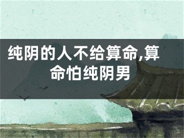 纯阴的人不给算命,算命怕纯阴男