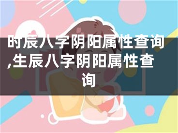 时辰八字阴阳属性查询,生辰八字阴阳属性查询
