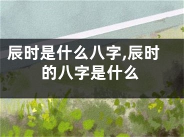辰时是什么八字,辰时的八字是什么