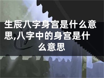 生辰八字身宫是什么意思,八字中的身宫是什么意思