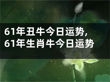 61年丑牛今日运势,61年生肖牛今日运势