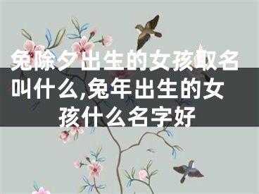 兔除夕出生的女孩取名叫什么,兔年出生的女孩什么名字好