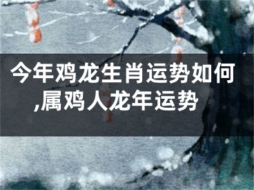 今年鸡龙生肖运势如何,属鸡人龙年运势