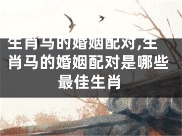 生肖马的婚姻配对,生肖马的婚姻配对是哪些最佳生肖