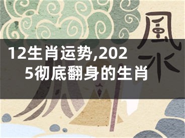12生肖运势,2025彻底翻身的生肖