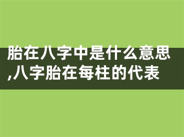 胎在八字中是什么意思,八字胎在每柱的代表