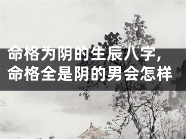 命格为阴的生辰八字,命格全是阴的男会怎样