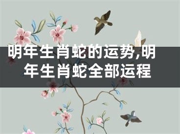 明年生肖蛇的运势,明年生肖蛇全部运程