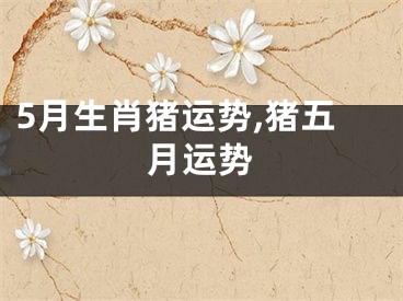 5月生肖猪运势,猪五月运势