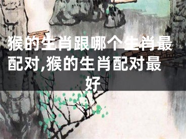 猴的生肖跟哪个生肖最配对,猴的生肖配对最好