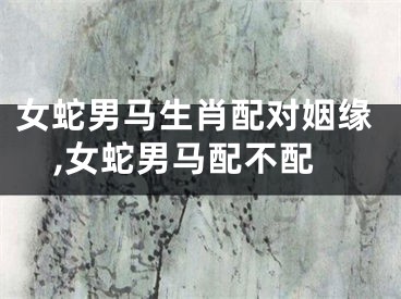 女蛇男马生肖配对姻缘,女蛇男马配不配